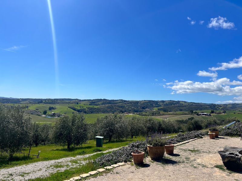 Kiler Ridge Olive Farm, Paso Robles, CA