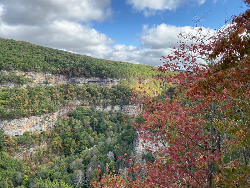 Cumberland Plateau