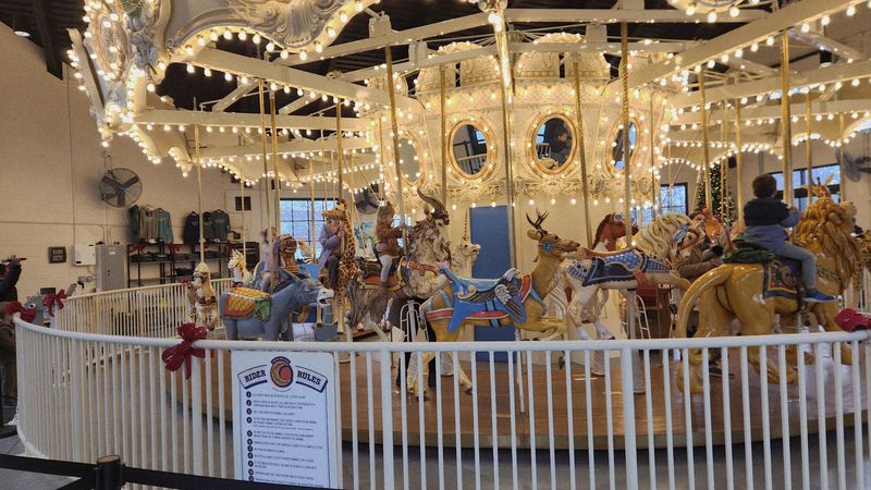 The Carousel Of Dreams Adds A Different Kind Of Stop