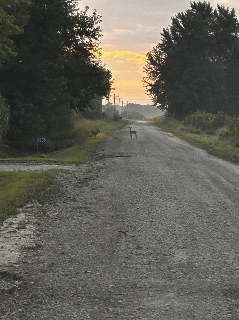 The Little Building At The End Of A Gravel Road