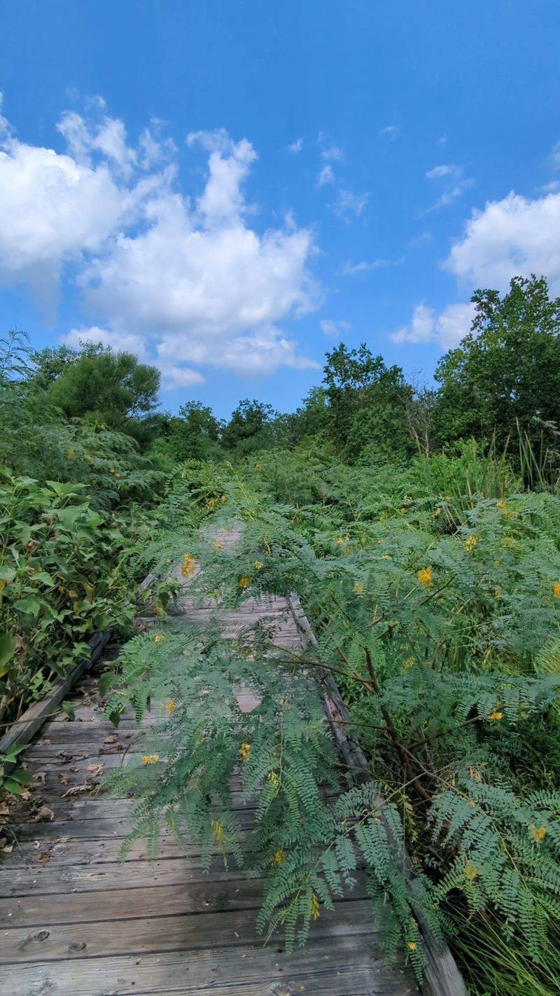 Where To Find This Marshland Escape