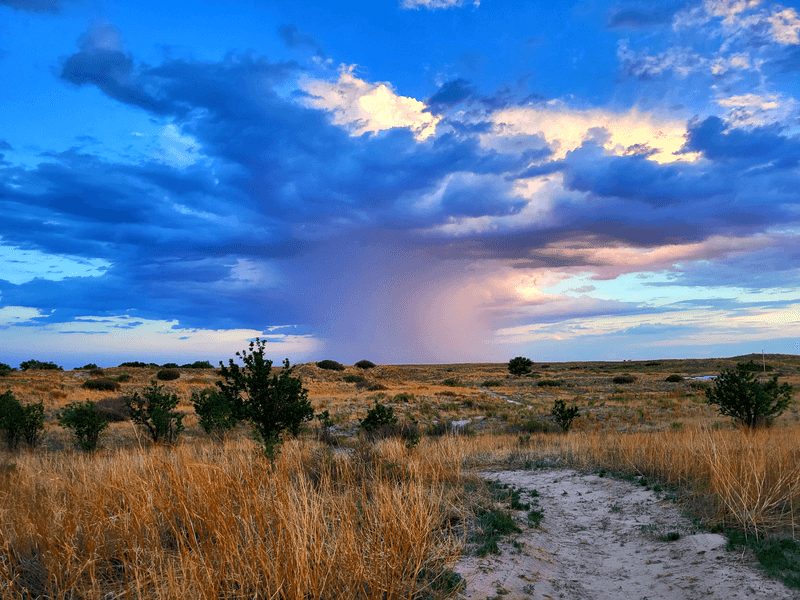 Where The Desert Sky Steals The Show