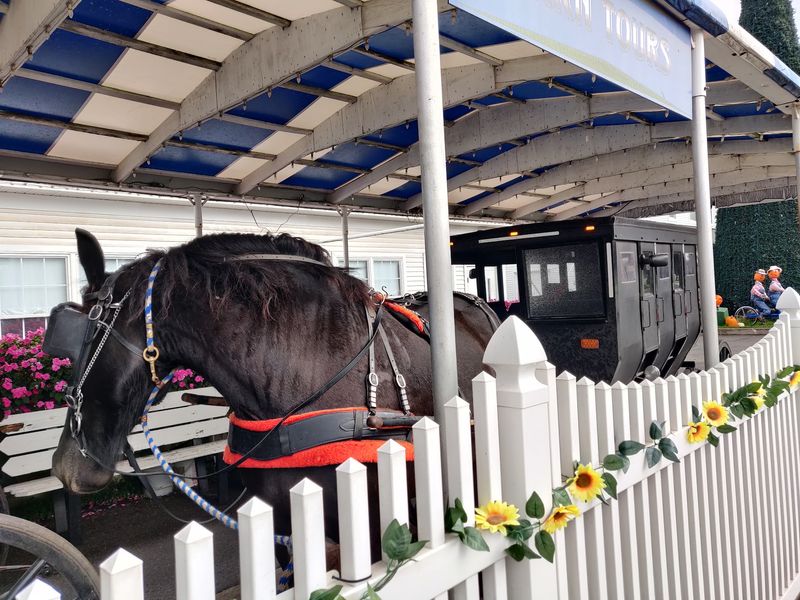 Indiana’s Largest Amish Settlement Reaches Across The County
