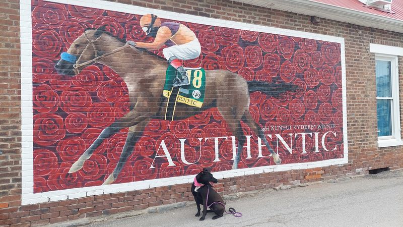 More Than 40 Murals Turn Downtown Into A Walking Route