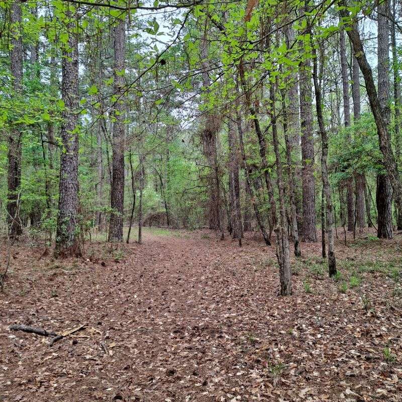 Pick A Trail Before The Heat Builds