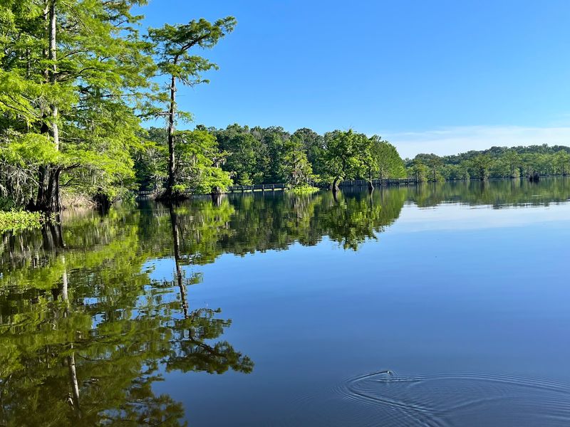 Where To Find This Hidden Corner Of Louisiana