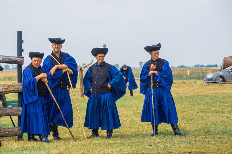 Understand The Hungarian Settlement Connection