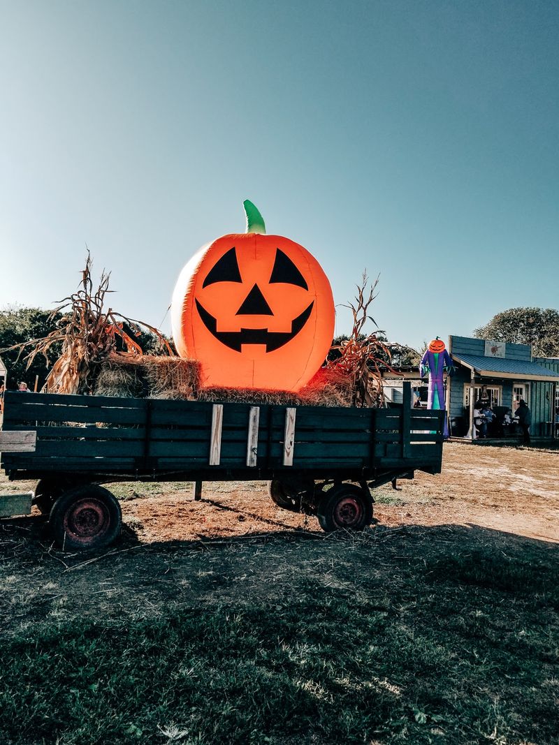 Fifty-Eight Acres Turn A Pumpkin Trip Into A Full Day