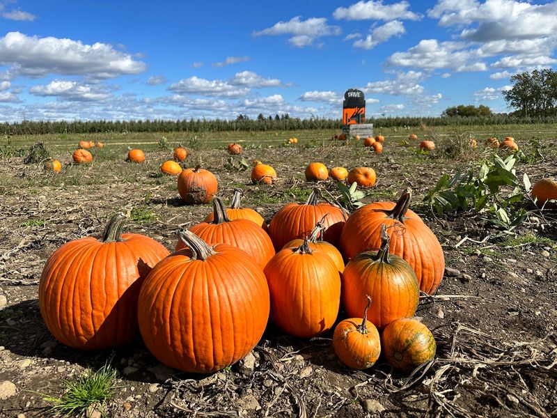 Haunted Nights Start In September And Stretch Into November