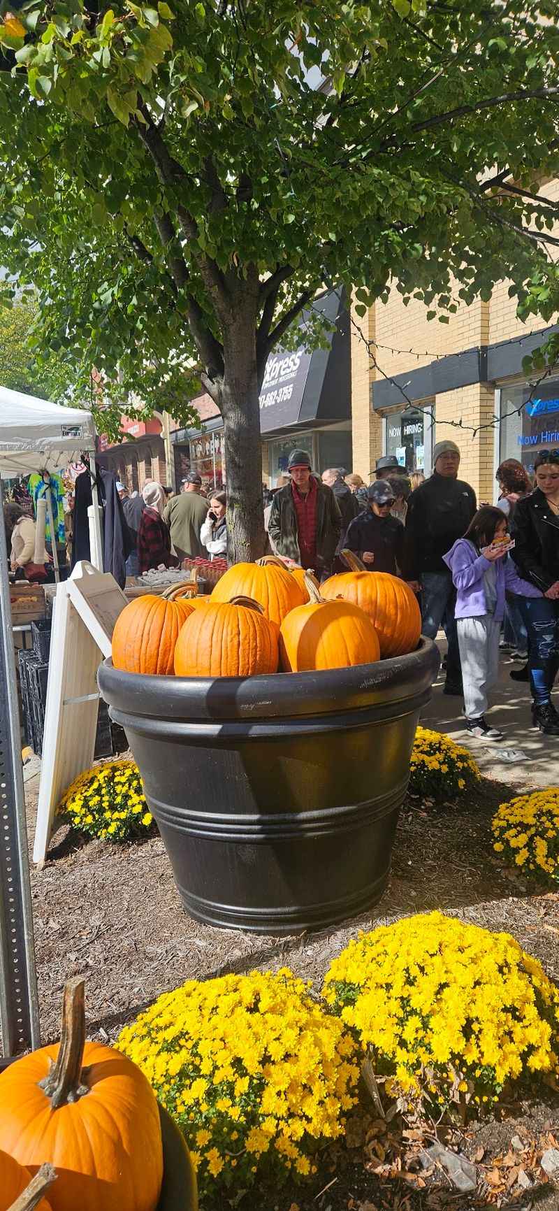 October 10 And 11 Bring Appleumpkin Back Downtown