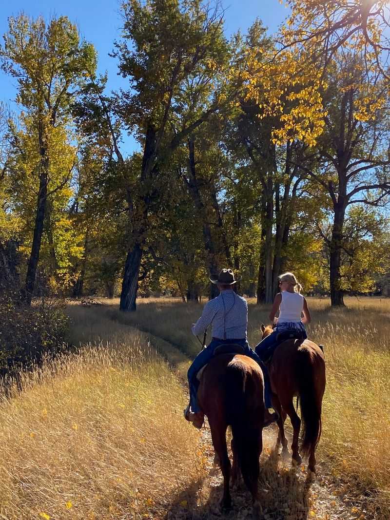 The Cattle Drive Starts Before The Herd Moves