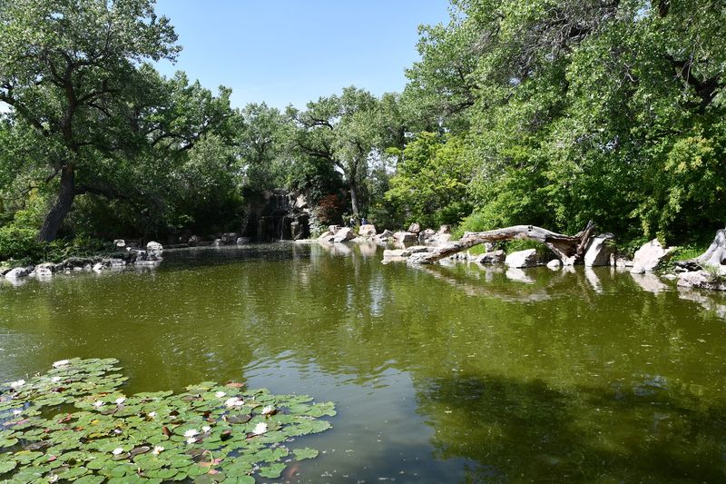 A Green Oasis Along Central Avenue