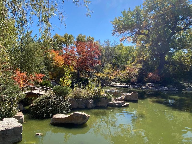 A Four-Acre Oasis Inside the ABQ BioPark