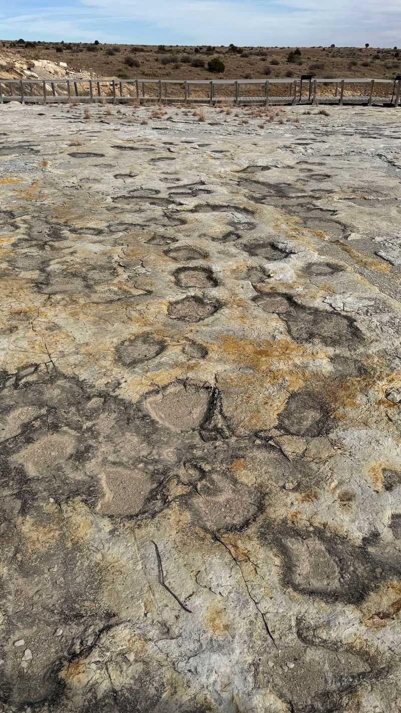 A Prehistoric Marvel Hiding in Northeastern New Mexico