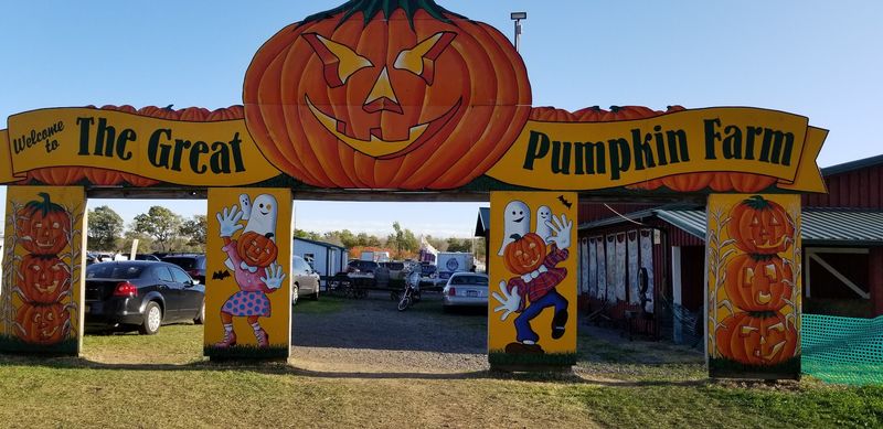 Fall Weekends Bring Out The Big Festival Energy