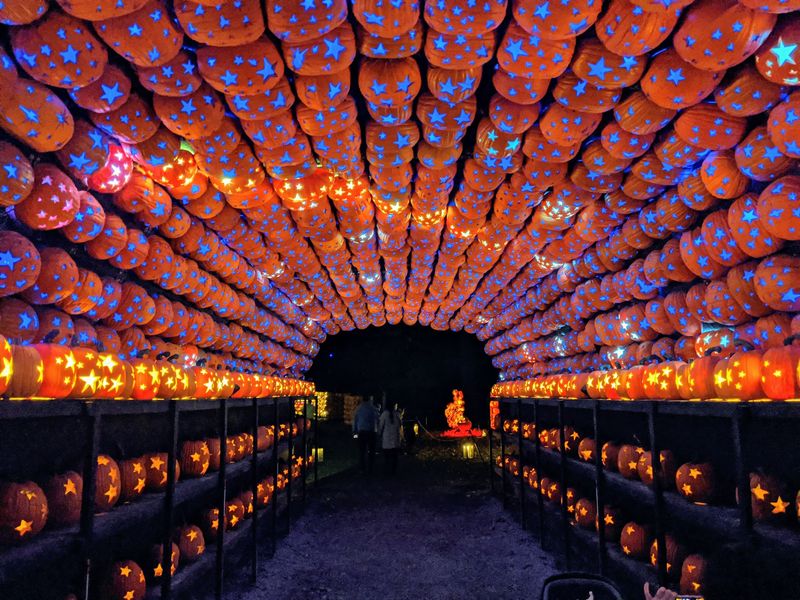 More Than 7,000 Jack O’Lanterns Fill The Trail
