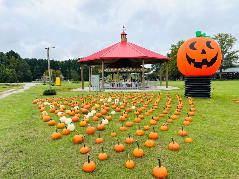 Hill Ridge Farms Has Been Growing With Families Since 1968