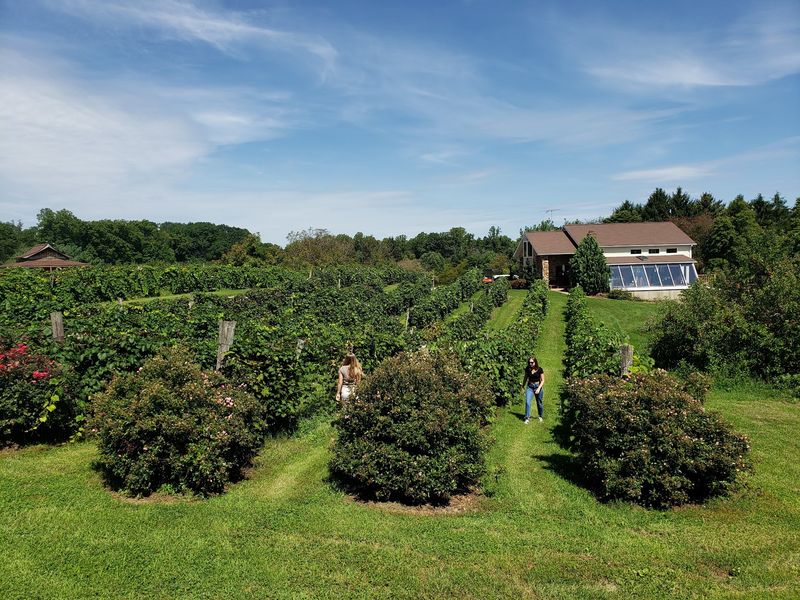 More Than 50 Years Of Growing Produce Shape The Farm
