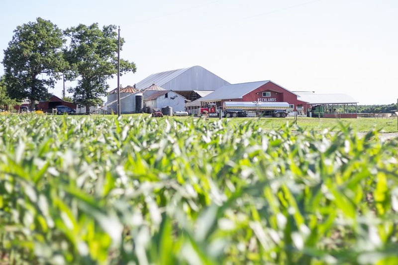 The Family Has Been Farming This Land For Generations