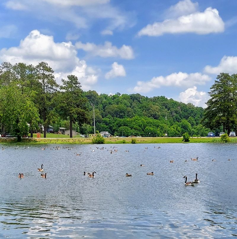 Chickamauga Lake Keeps Water Close To Everyday Life