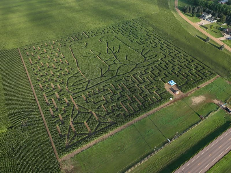A New Design Changes The Field Each Season