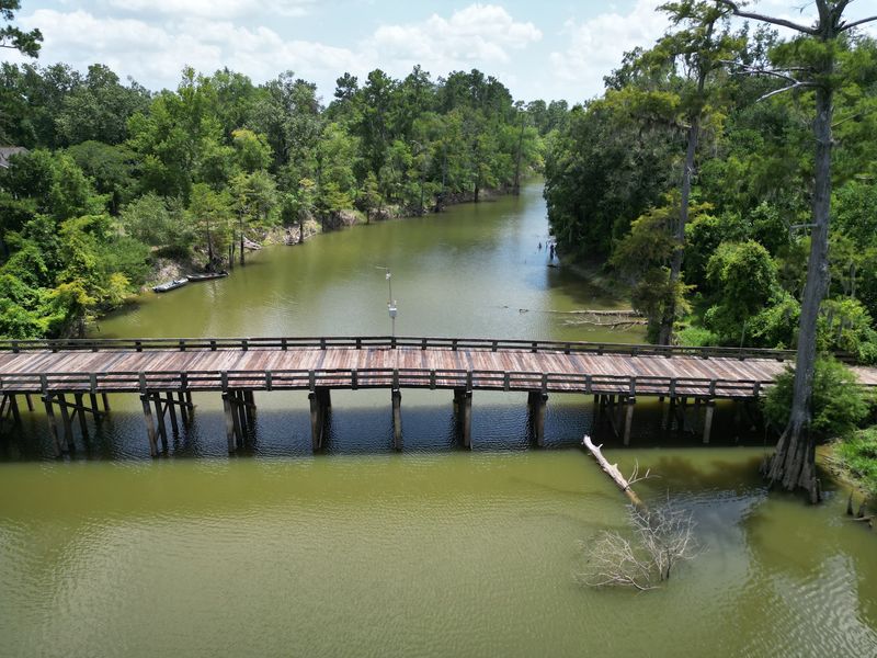 A Calm Setting That Lets The Swamp Speak