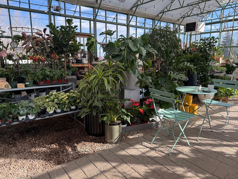 A Greenhouse Brunch Stop With Real Park City Roots