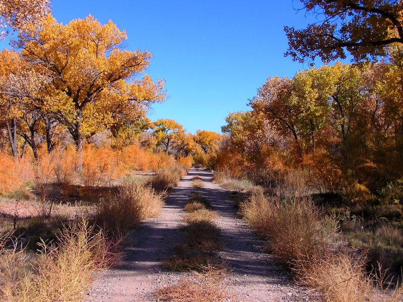 The Three-Mile Loop You Can Drive, Walk, Or Bike