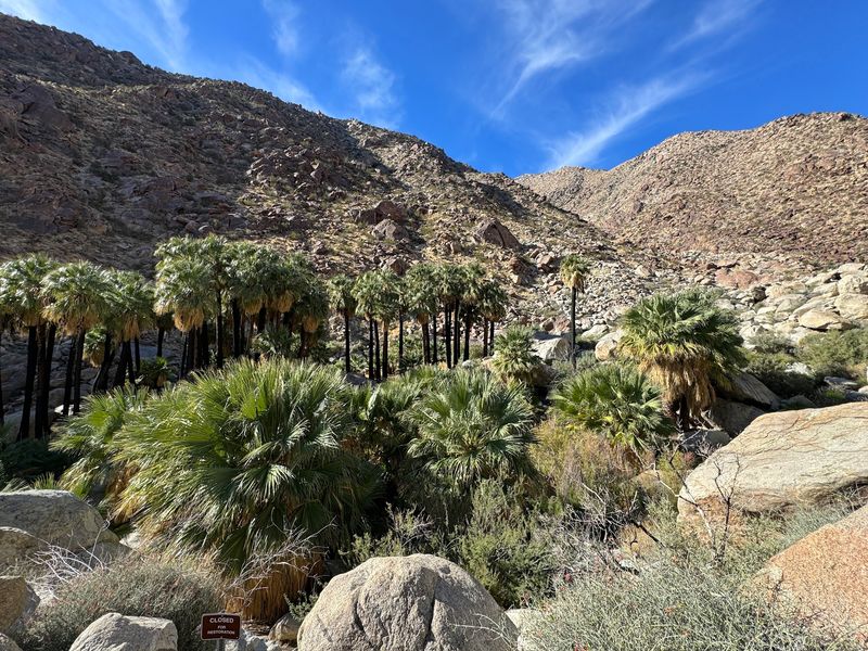 Borrego Palm Canyon Trailhead, Borrego Springs, CA
