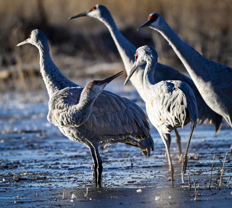 A Highway Stop That Hides A Wildlife Wonder