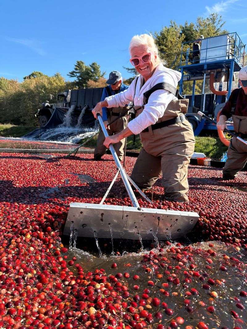 Berry Bog Adventures Put Visitors In The Water