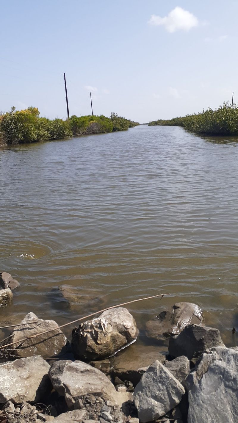 Learn The Island's Ground Story