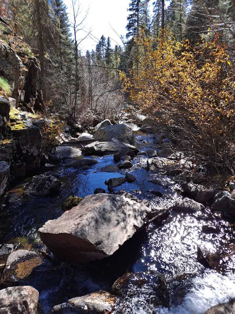 A Mountain Creek Runs Beside Camp
