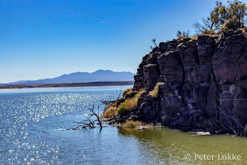 A Haven for Bald and Golden Eagles