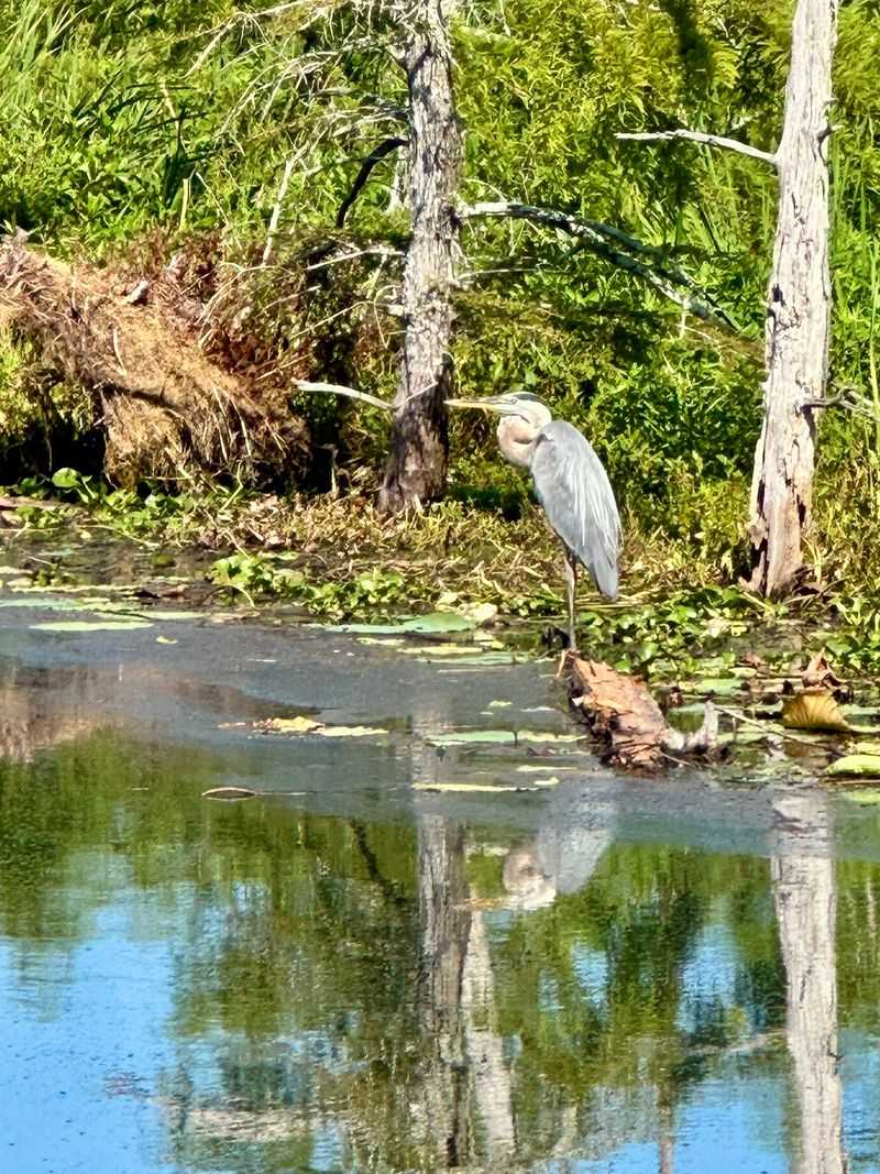 A Birdwatcher's Happy Place
