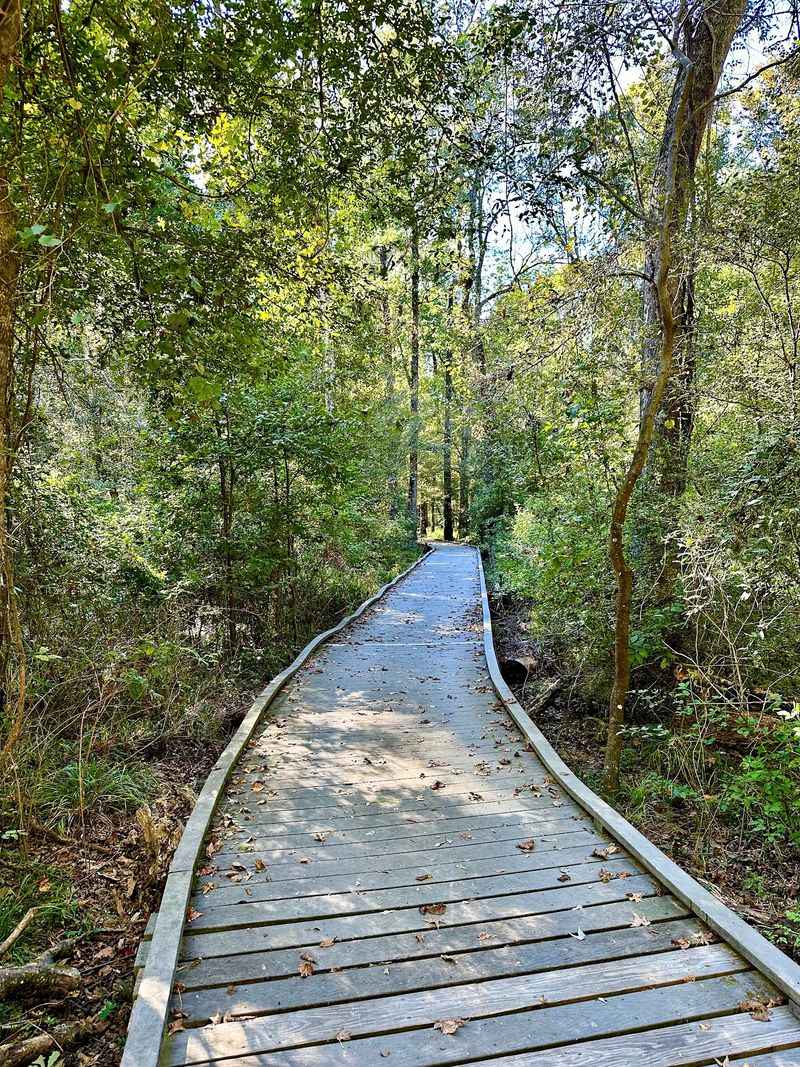 The Louisiana State Arboretum