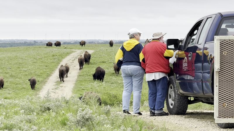 Volunteer Docents Who Know Every Blade Of Grass