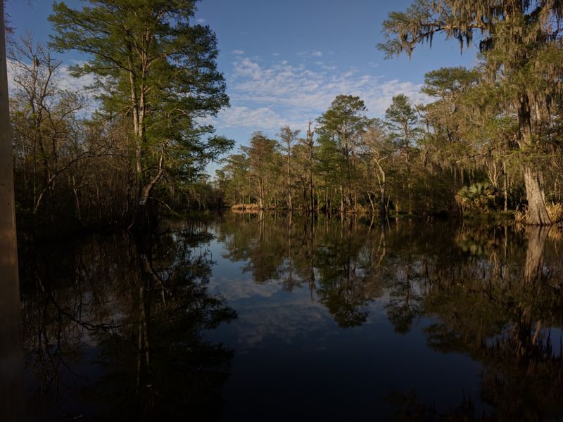The Road Ends Where The Cypress Begins