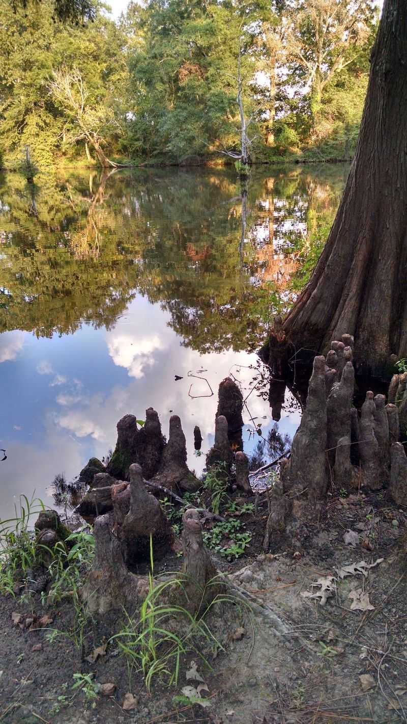Watch The Banks As Much As The Water