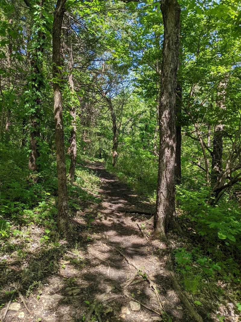 Clinton State Park, Lawrence