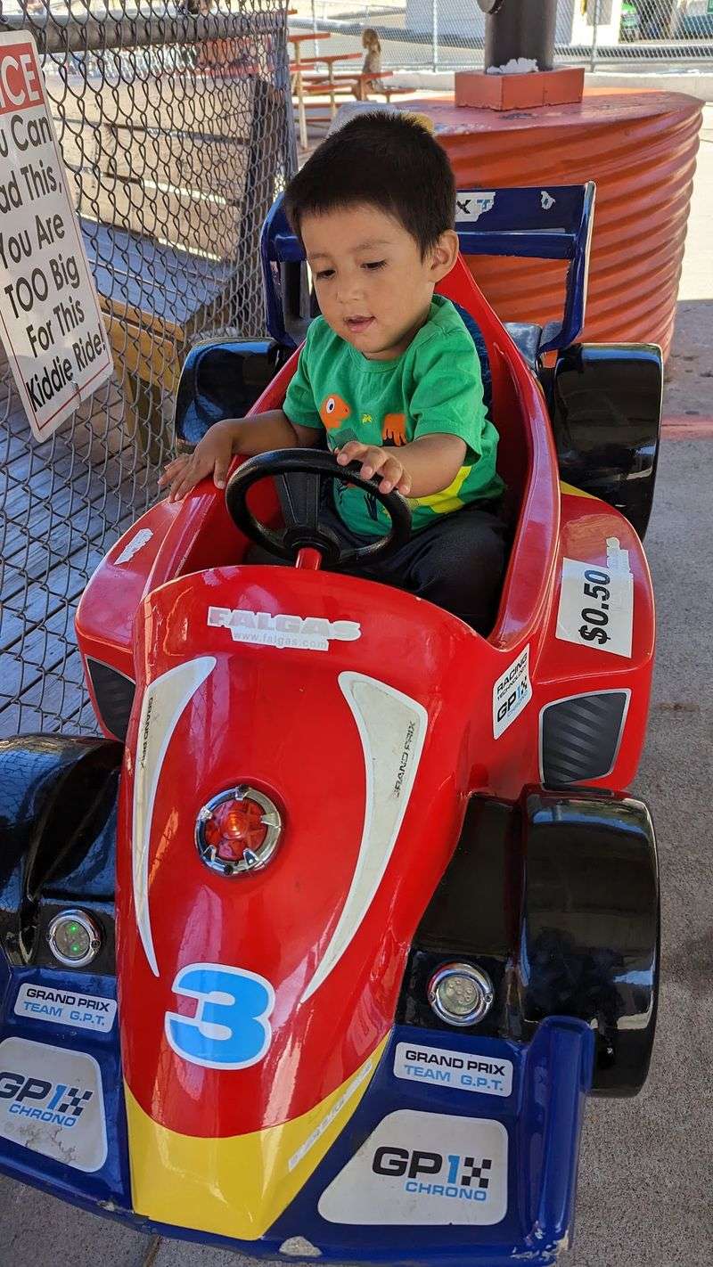 Little Racers Take the Turtle Track