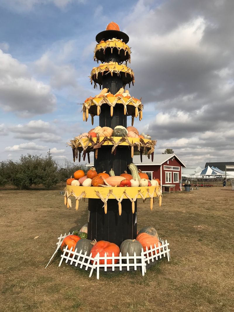 Pumpkins And A Three-Acre Corn Maze Fill Out The Day