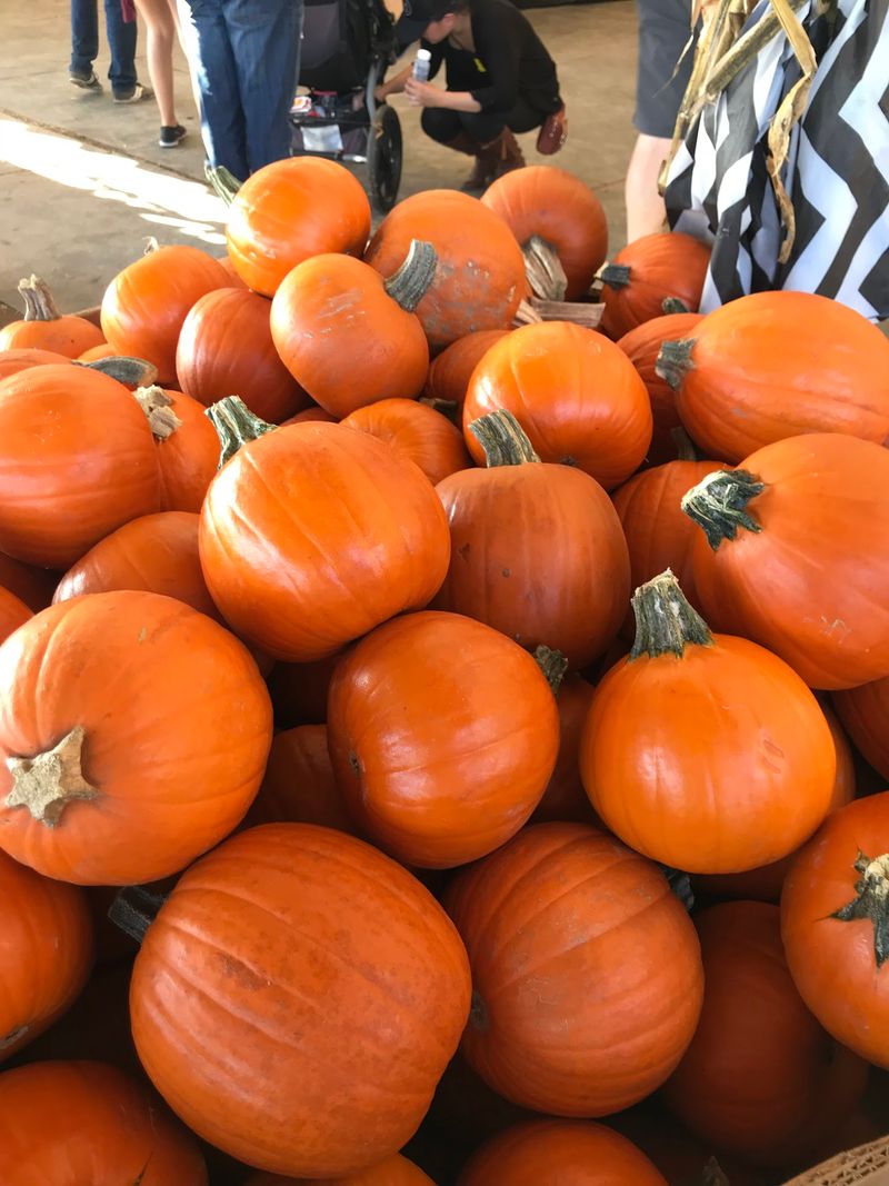 Tanaka Farms, Irvine, CA