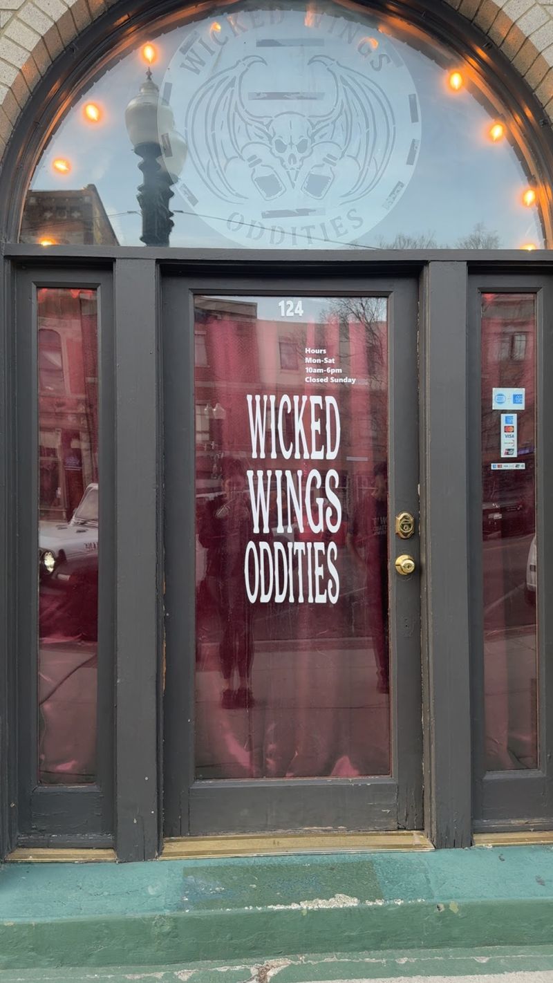 Wicked Wings Oddities, Ogden, UT