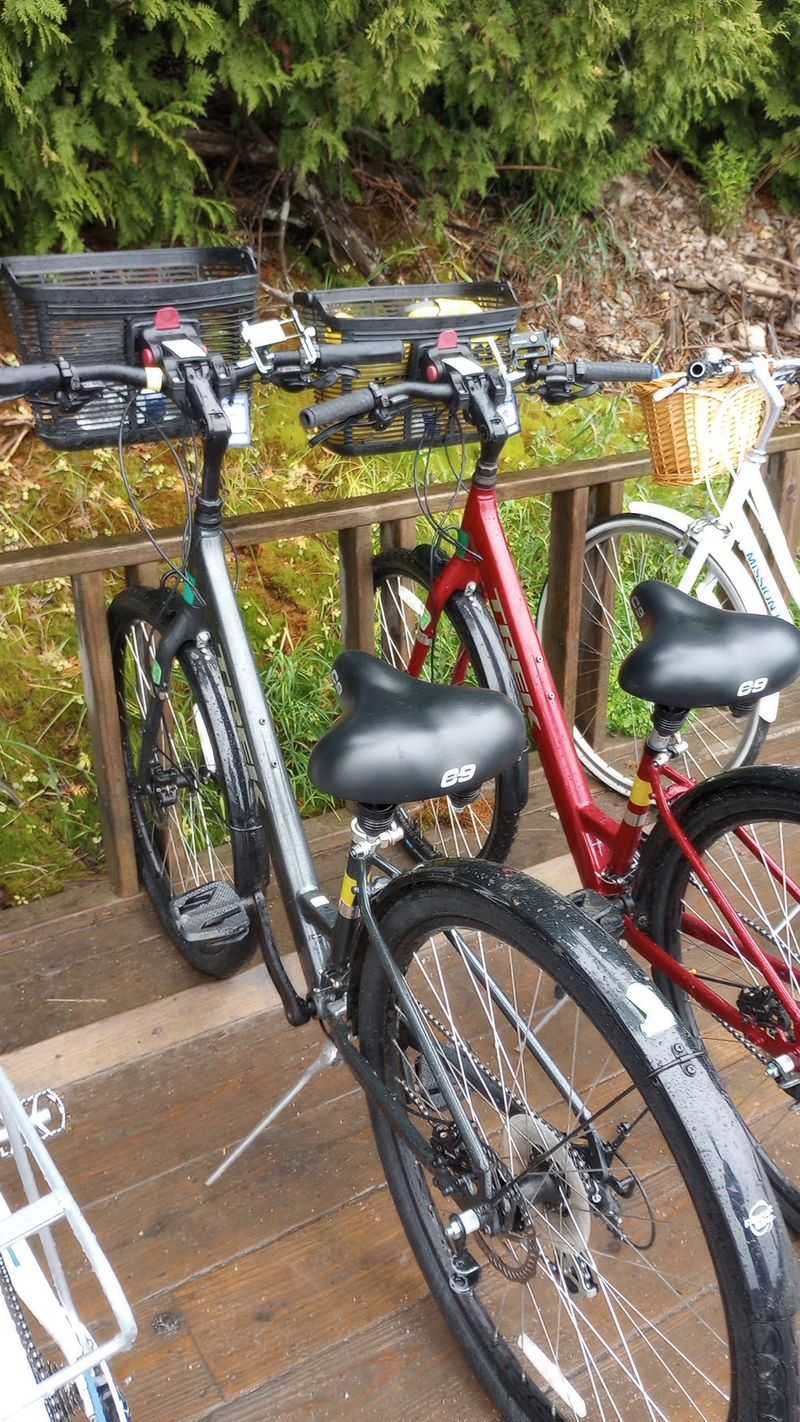 Double-Check That Rental Bike Before Riding Off