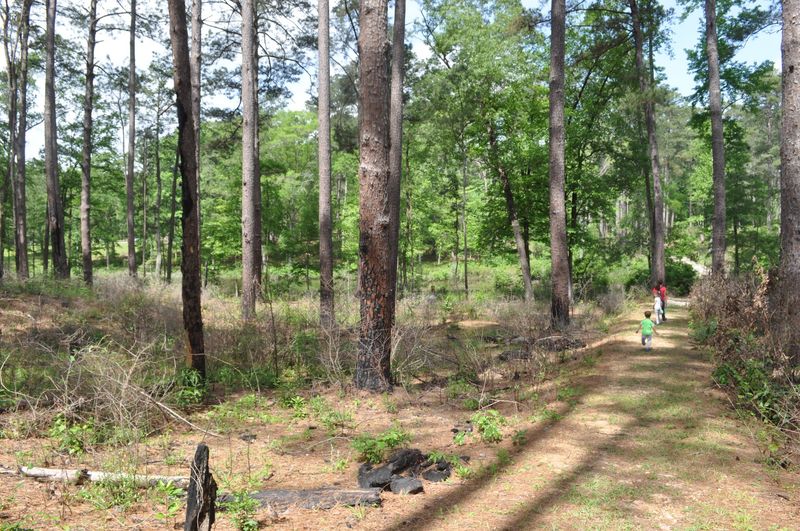 Keep Pets Close And Watch Wildlife From A Distance