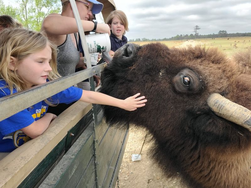 Notice The Conservation Story Behind The Fun