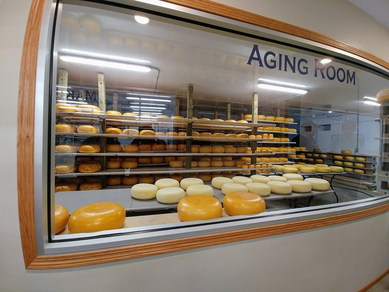 Frisian Farms Cheese House, Leighton