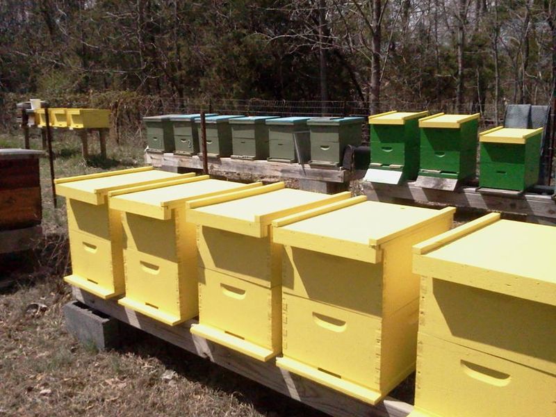 One Hundred To Two Hundred Colonies Keep The Operation Moving