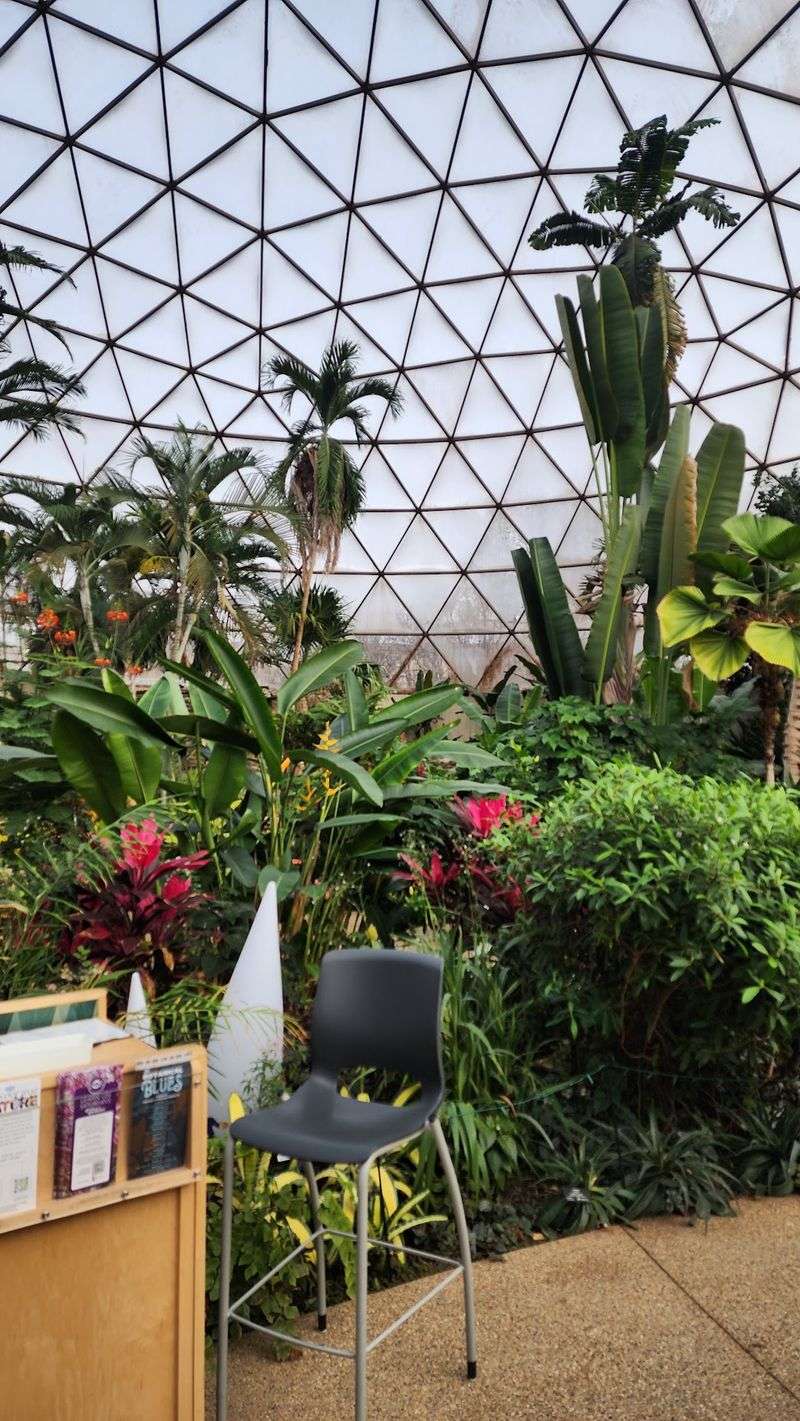 Pond Views, Lotus Blooms, And The Odd Bald Eagle